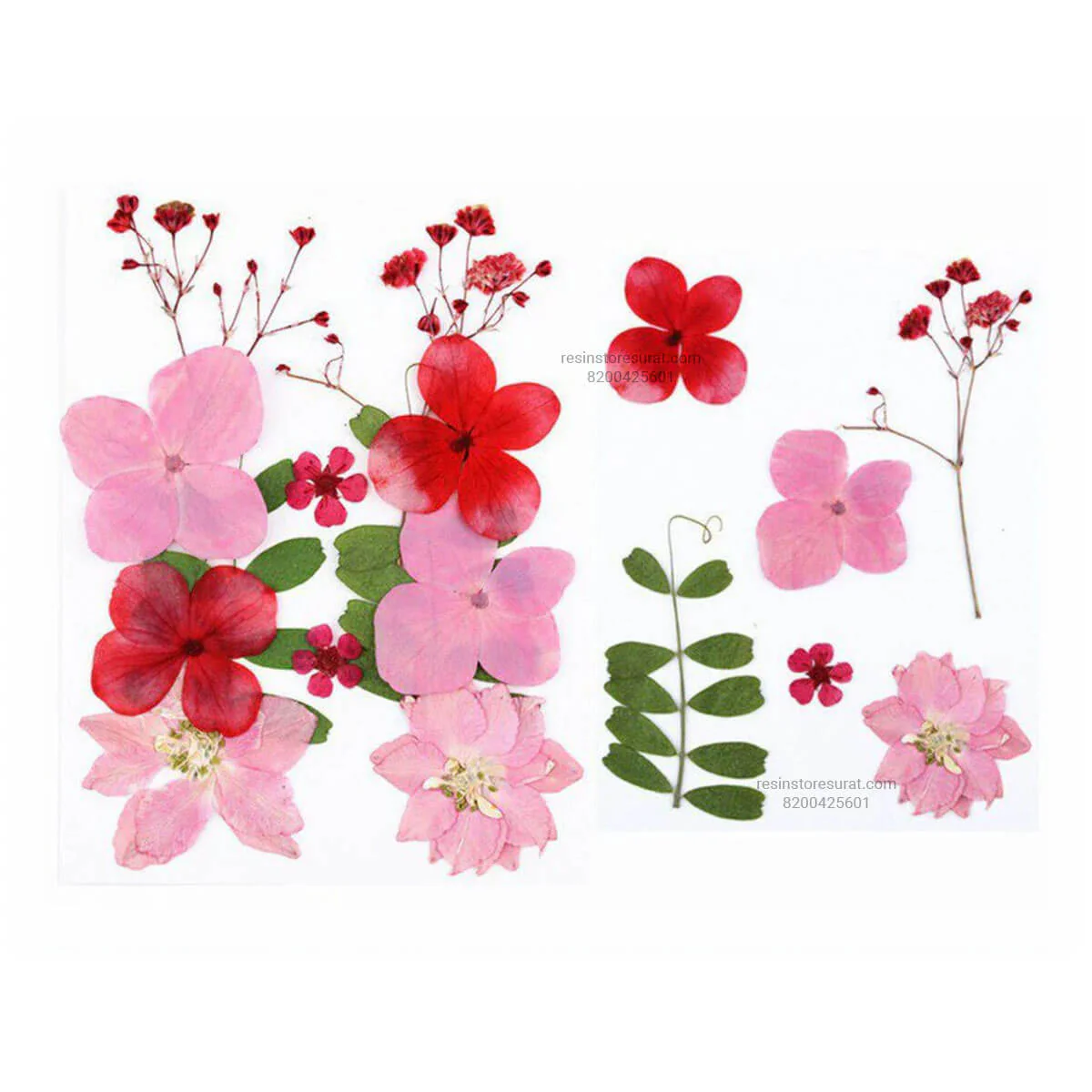 12 In 1 Red Pink Pressed Dry Flowers - 017