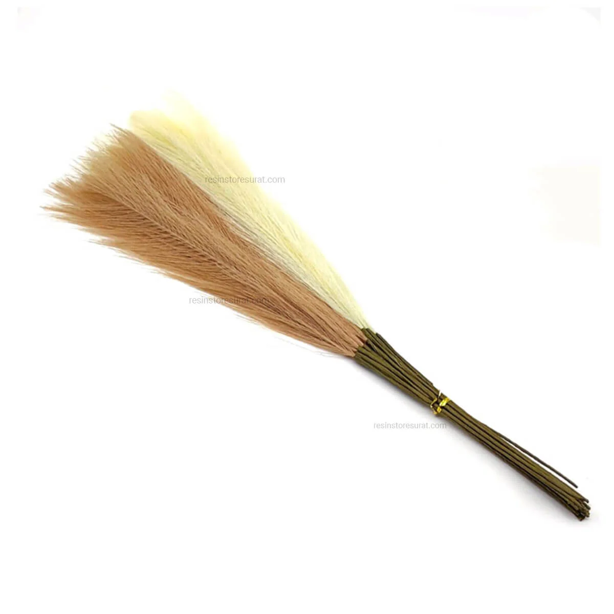 Pampas Grass A